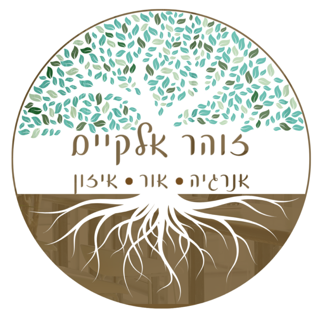 לוגו זוהר אלקיים